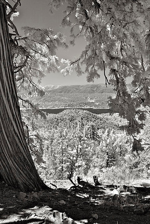 Big Bear Lake Vista from Pacific Crest Trail ­- Infrared Exposure - 2015