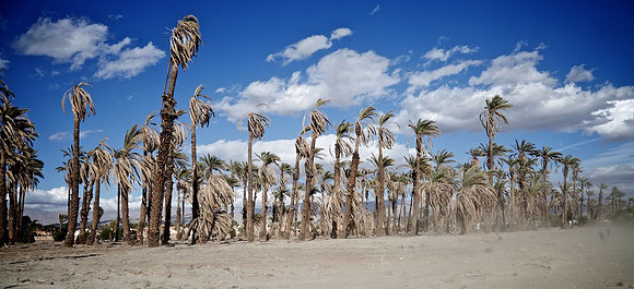 Sandstorm Approaching Bermuda Palms Mobile Estates - Indio, CA - 2015