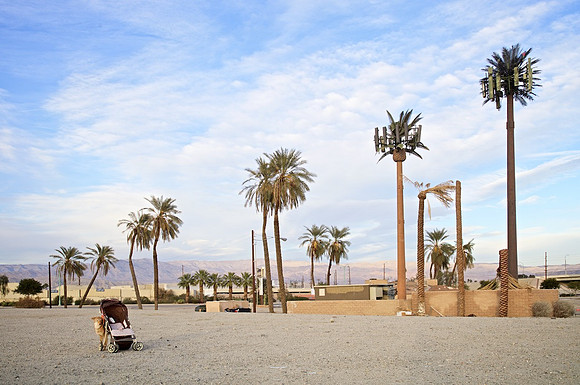 Strange Palms with Baby Carriage and Homeless Encampment - Indio, CA - 2015