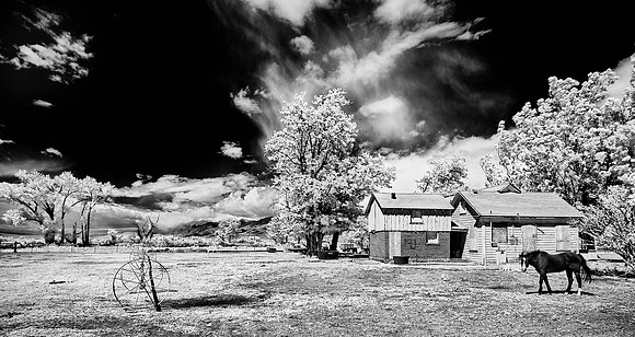 Boarded-Up Farm House with Watchful Horse - Bishop, CA - 2016