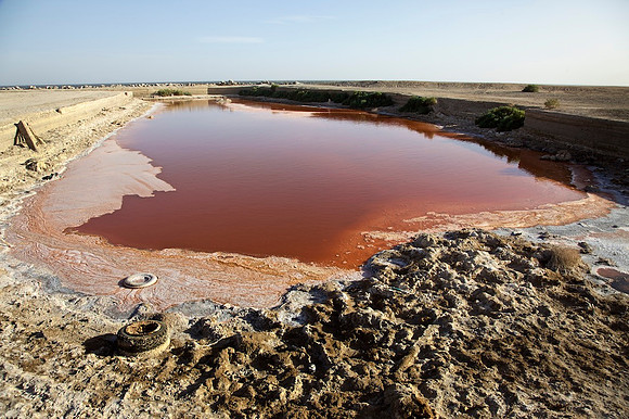Halo Bacteria Pool - Bombay Beach, CA - 2014