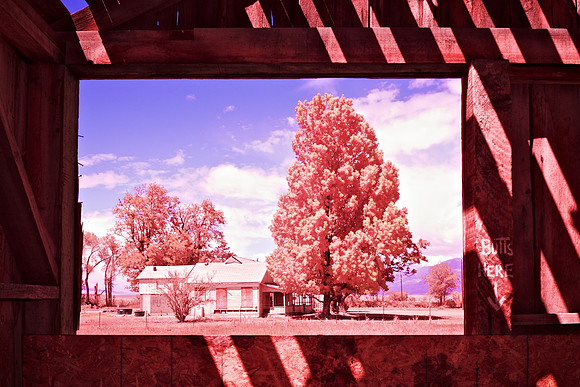 Window View of Boarded-Up Farm House from Abandoned Barn - Bishop, CA - 2016