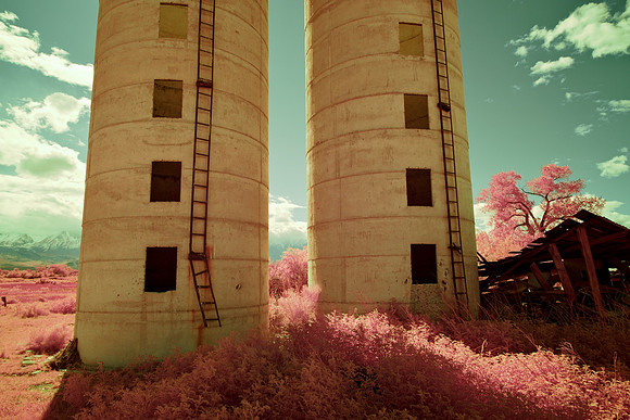 Twin Silos, Collapsed Building & Pink Foliage - Bishop, CA - 2016