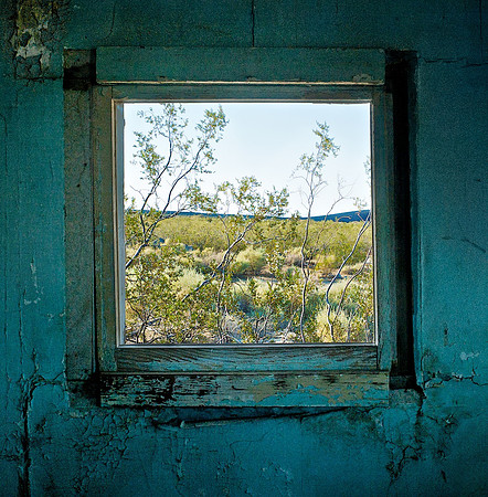 Window with Creosote Bush - Dunmovin, CA - 2010