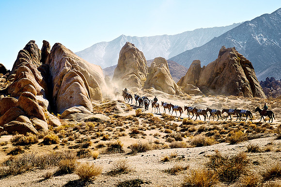 Mule Train Winds through the Alabama Hills outside Lone Pine, CA - 2013